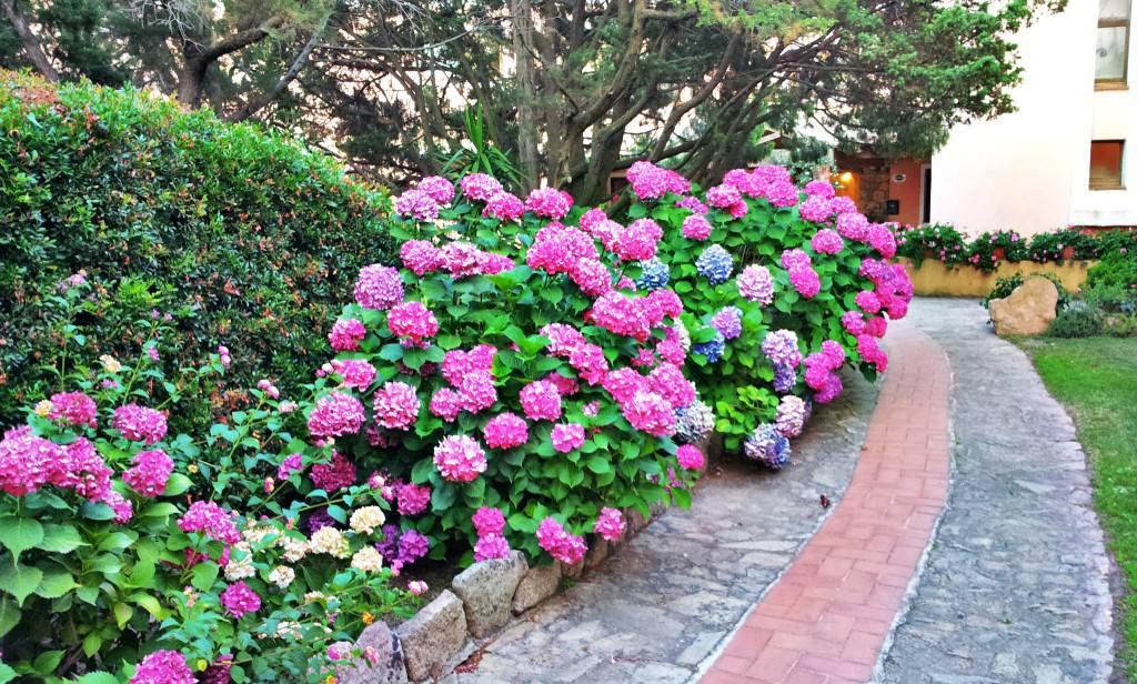 Hotel Valdiola Porto Cervo Luaran gambar
